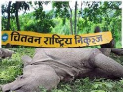 गैँडा मारेको आरोपमा पक्राउ